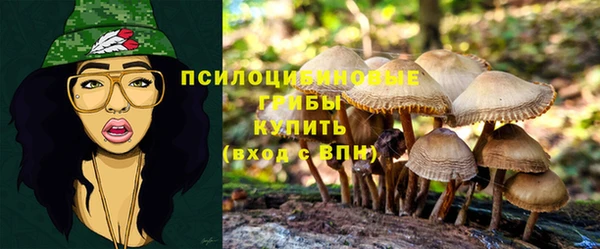 спайс Балахна