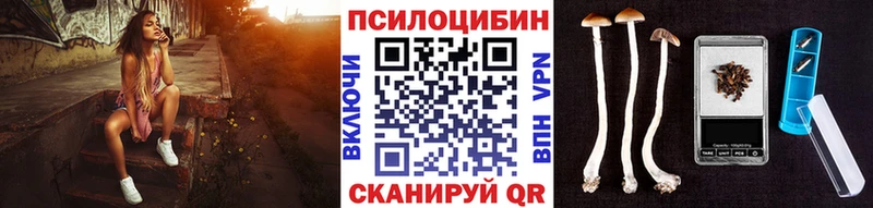 Псилоцибиновые грибы ЛСД Горно-Алтайск